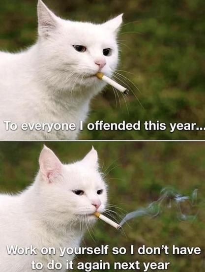 Eine weiße Katze hält eine Zigarette im Maul, dazu der englische Text
„To everyone I offended this year..
Work on yourself so I don't have to do it again next year“